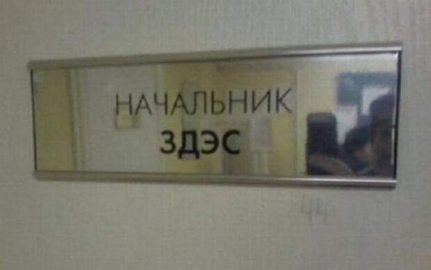 Веселая подборка на четверг