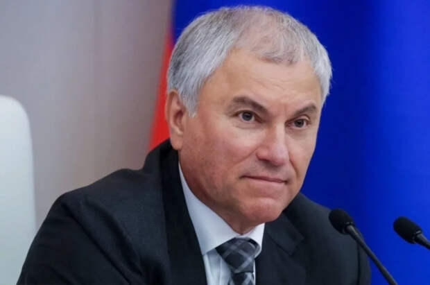 Володин: россияне не поддержали изучение второго иностранного языка в шолах