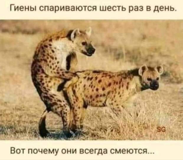 www.vsyako.net