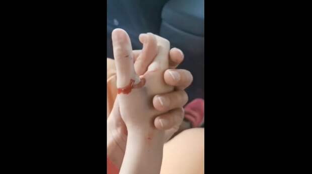 В Греции арестованы украинцы, напавшие на участников автопробега против русофобии В Греции арестованы украинцы, напавшие на участников автопробега против русофобии