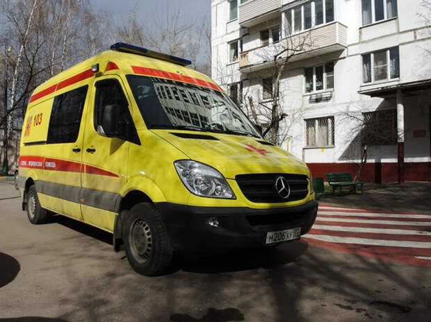 В квартире в Балашихе нашли два трупа и живого младенца