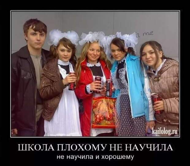 Прикольные демотиваторы с надписями. Подборка chert-poberi-dem-chert-poberi-dem-55000330082020-17 картинка chert-poberi-dem-55000330082020-17