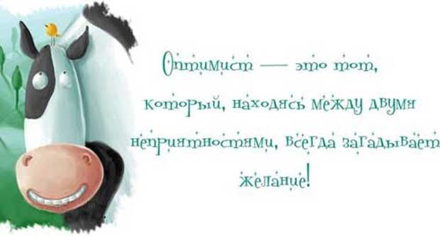 Смешные цитаты со смыслом