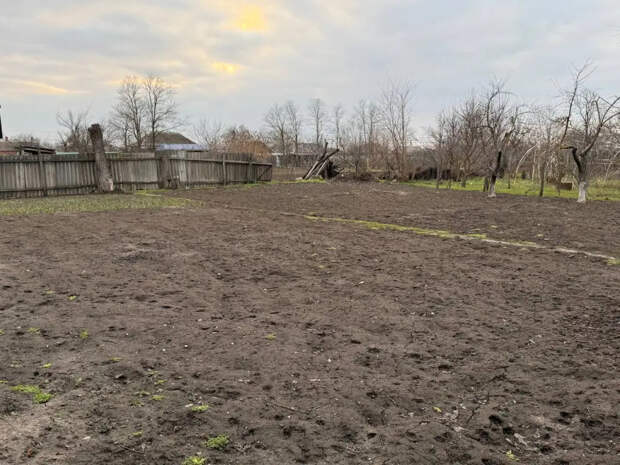 Хватит полоть сорняки: нашёл идеальное покрытие для дорожек на даче за 0 рублей