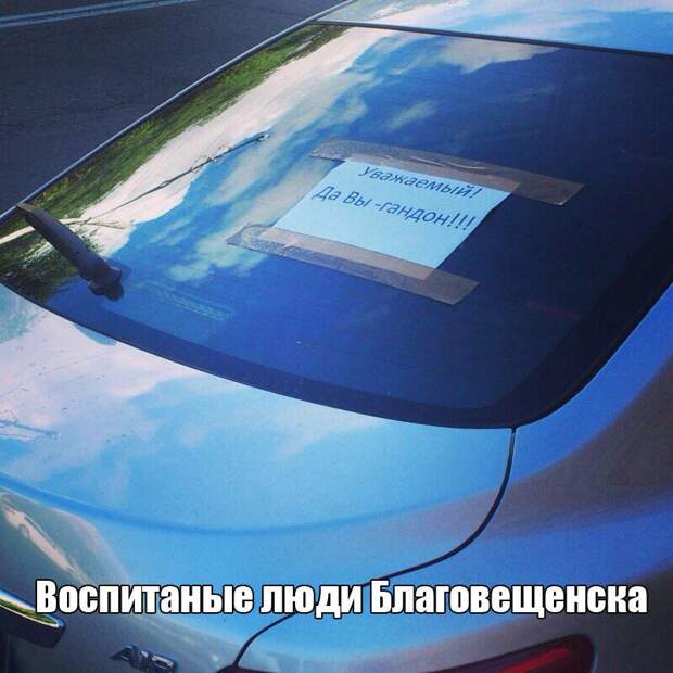 Подборка народных штрафов для гореводителей авто, дтп