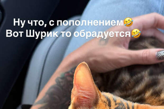 Блогерша Настя Ивлеева сообщила, что завела второго кота