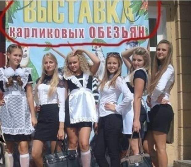 Смешные картинки с надписями прикол, юмор