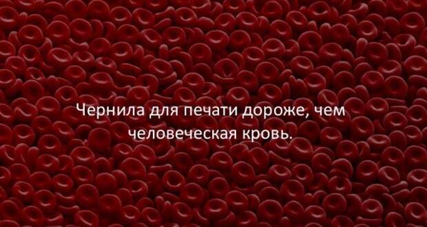 Занимательные факты Занимательные факты интересно, любопытно, факты
