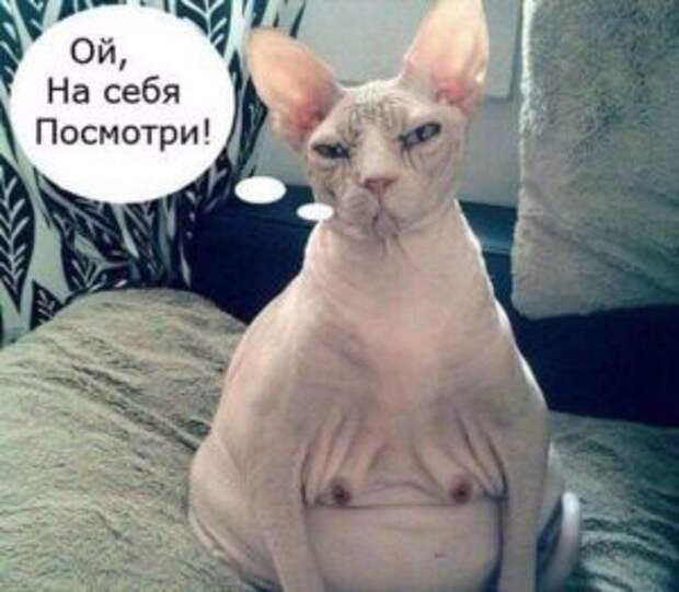 Ольга Савельева: ТРУСливbIй пост
