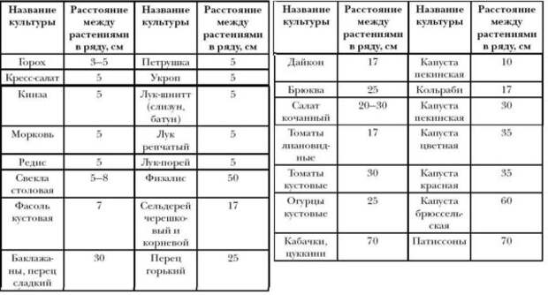 Урожайность при выращивании на узких грядках 