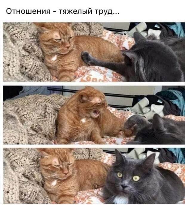 Смешные и не очень