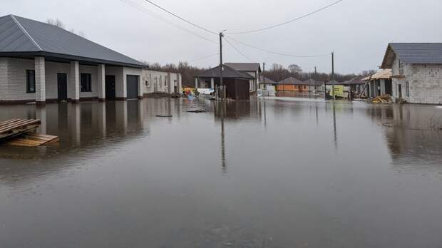 В Алтайском крае начали эвакуацию людей из-за паводка в Михайловском районе