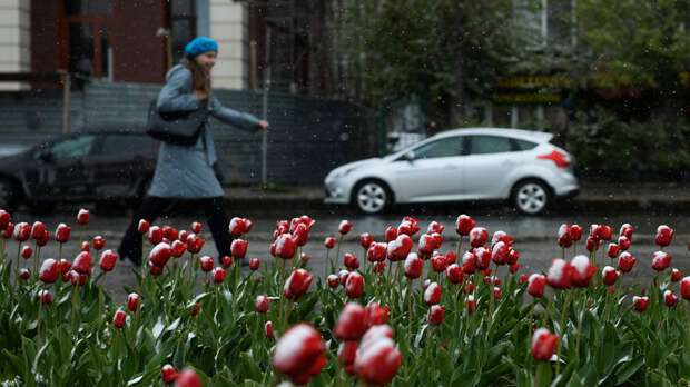 В некоторых районах Подмосковья вечером 26 апреля начался снегопад