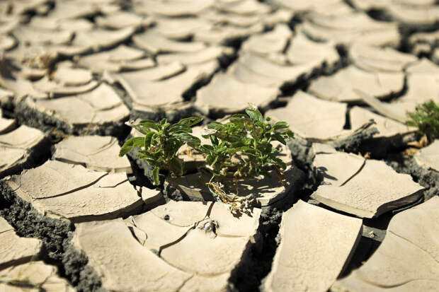 Энергетический дисбаланс Земли достиг исторического максимума с 1960 года