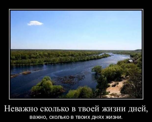 Прикольные демотиваторы с надписями. Подборка chert-poberi-dem-chert-poberi-dem-42220329102020-8 картинка chert-poberi-dem-42220329102020-8