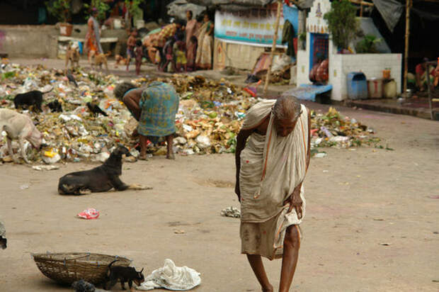 Индийцы ищут еду на мусорке, а ежегодно американцы выкидывают купленную еду на 165 млрд долларов.