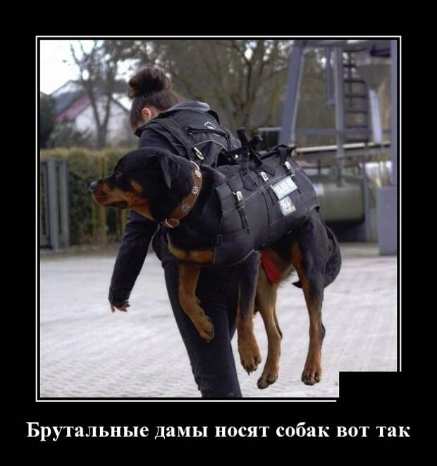Демотиваторы (30 фото)