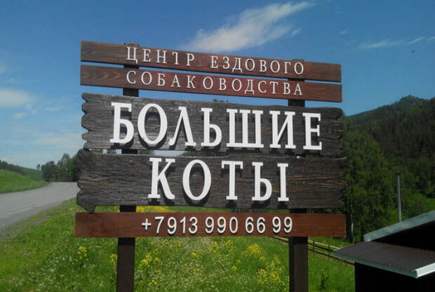 Тонкая связь. Тонкая связь.