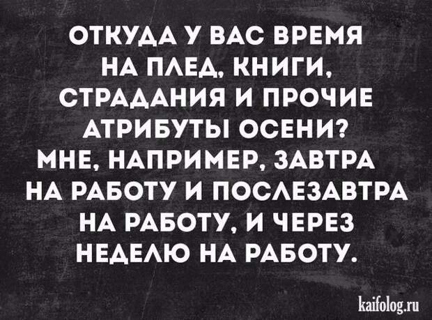 Смешные открытки (35 картинок)