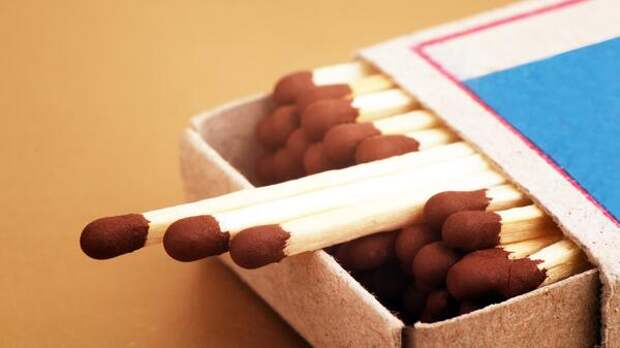 Лайфхак: как спички могут повысить урожайность на вашем огороде