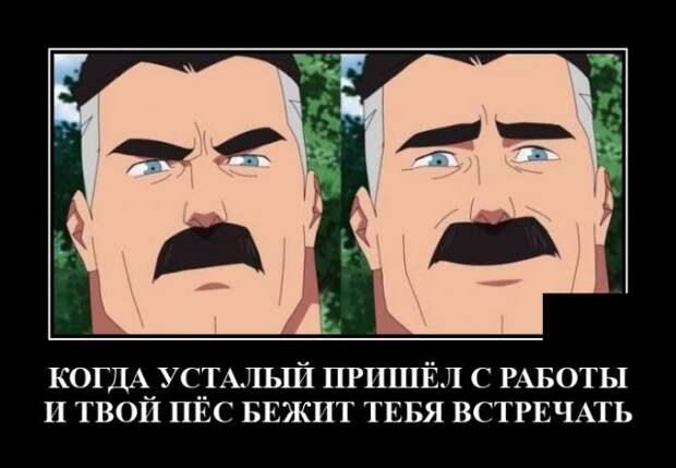 Демотиваторы 28 мая 2021