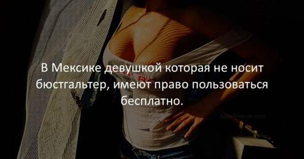 Интересные факты
