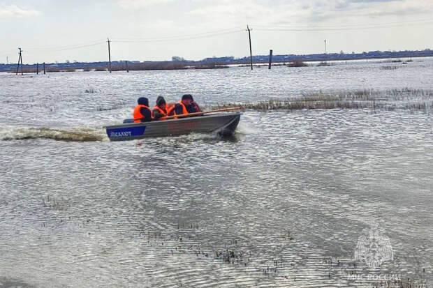 В Курганской области не собираются отменять ОГЭ и ЕГЭ из-за паводков