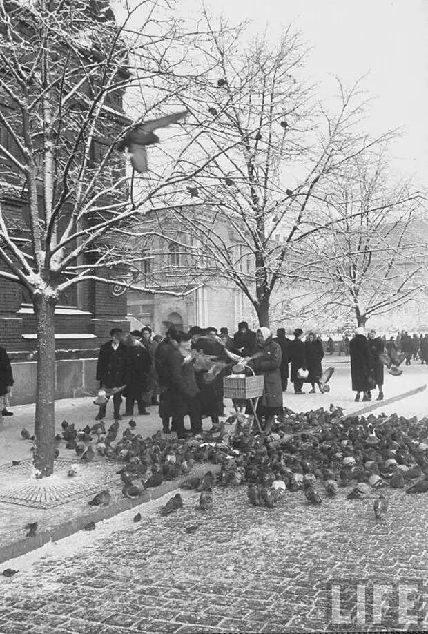 Фотография: Какой была Москва в декабре 1959 года №3 - BigPicture.ru