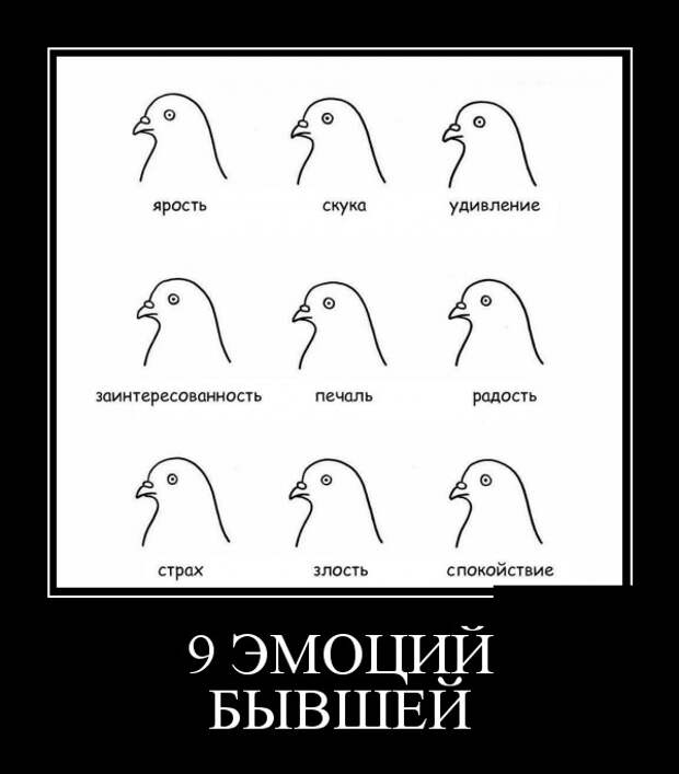 Демотиваторы (30 фото)