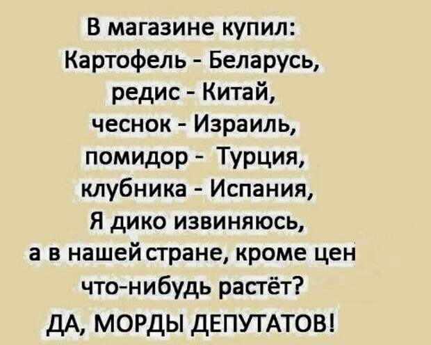 Картинки с надписями, истории и анекдоты