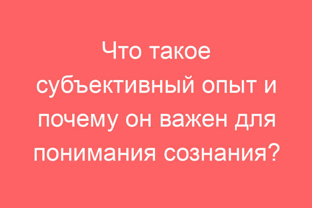 Что такое субъективный опыт и почему он важен для понимания сознания?