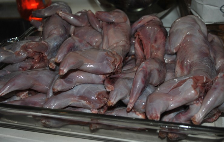 беличье мясо