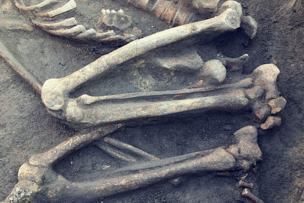 SciRep: в центре Испании обнаружили кости женщины среди останков 23 монахов