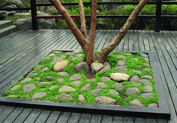 Эта минималистичная каменная композиция сделает сад стильным и изысканным.