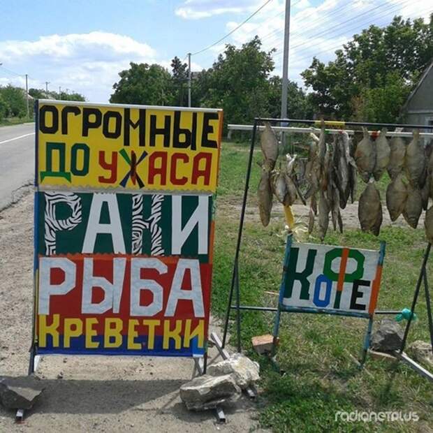 Народный юмор в картинках