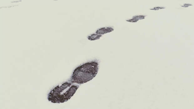 До -9 градусов потеплеет в Алтайском крае днем 19 декабря