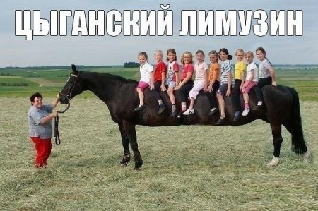 Прикольчики))) 