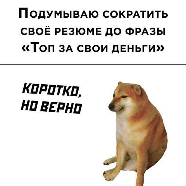 Смешные картинки 28 апреля 2021 года