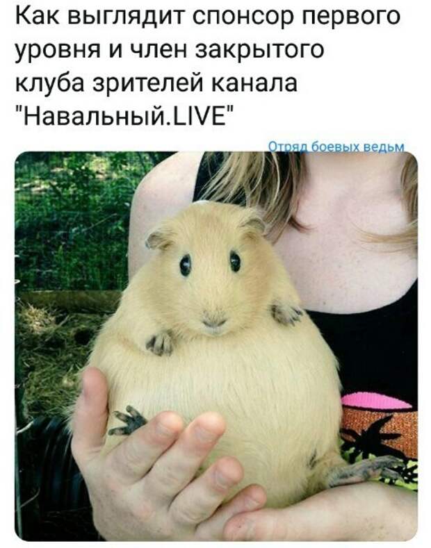 Политические картинки