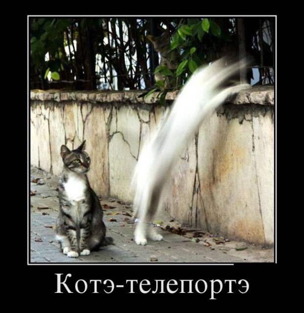 Демотиваторы (30 фото)