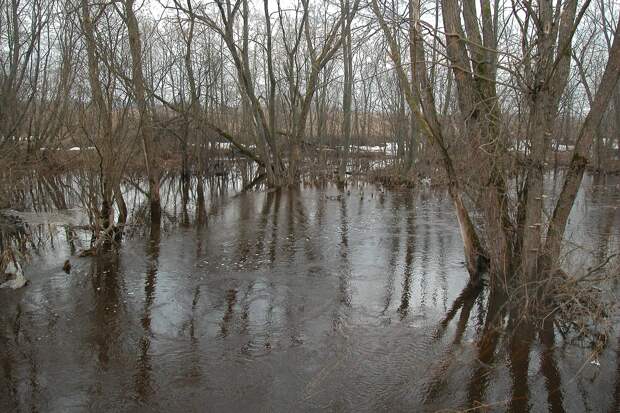 Рекордное тепло спровоцировало весеннее половодье в европейской части России