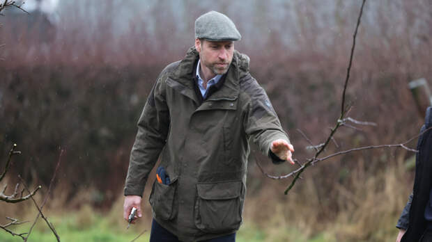 Принцу Уильяму запретили ездить на самокате по его новому имению