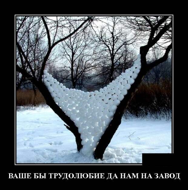 Демотиваторы (30 фото)