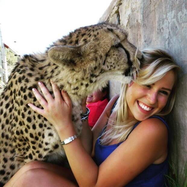 Она спасла котенка гепарда от охотников за трофеями и он стал её лучшим другом