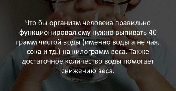 Интересные факты