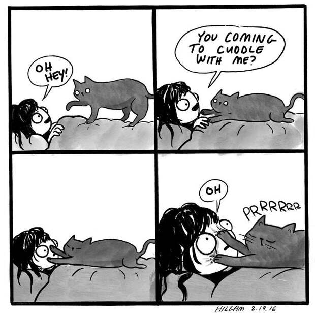 Modern-cat-lady-comics-hannah-hillam