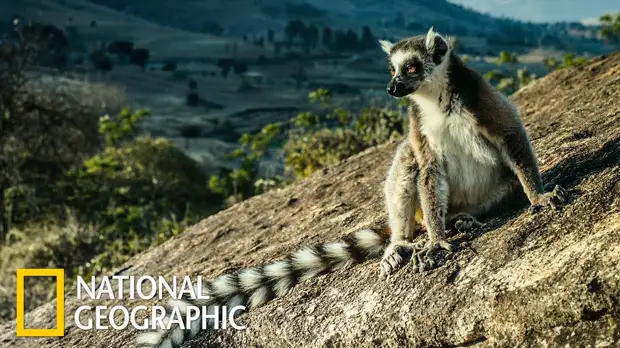 25/04/22==Мадагаскар - отдельный мир