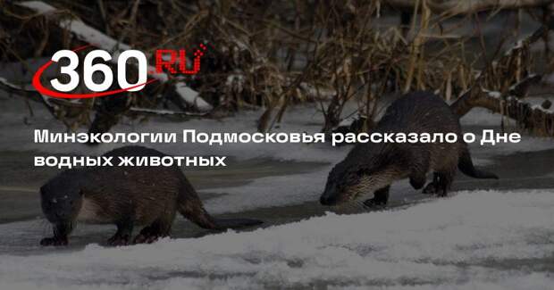 Минэкологии Подмосковья рассказало о Дне водных животных