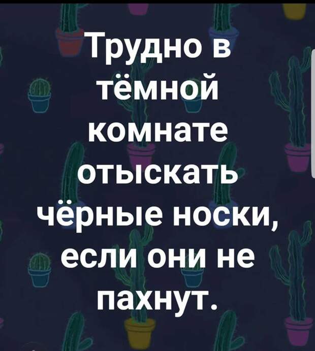 Звонок в ветеринарную клинику:- Здравствуйте, у нас заболела собачка!...