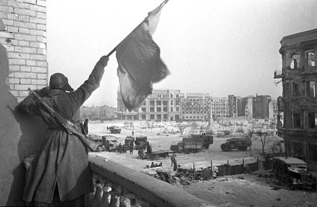 Как мыши помогли Красной Армии победить немцев в Сталинграде